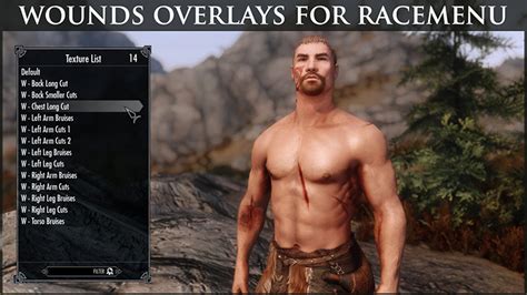 Skyrim: The Best Custom Scar Mods (All Free To .